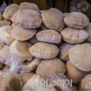 먹거리만두 이미지