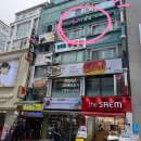 명동머드 이미지