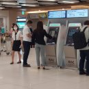 하루방비디오 | 김포공항 국내선 믿고맡기는 주차발렛 여기뿐