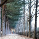 겨울연가마트 이미지