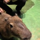 춤으로 여는 세상 | 그대 작은 나의 세상이 되어~