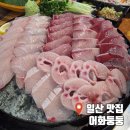 일산맛집어화둥둥