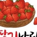 딸기나라 이미지