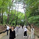 부소산성 고란사 화장실 이미지