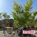 무주양지뜰캠핑장 이미지