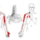 시원마취통증의학과의원 이미지