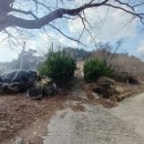 사전6-3 농로 | 순천 빈집 철거 비용 &amp; 황전면 주택 철거 실제 후기