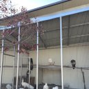 월암로 | 아산 브런치카페 파보네 내돈내산 연말모임 후기