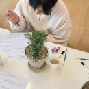 [10/20]가드닝 클래스 | 화성 필라테스 가드닝 클래스와 함께한 디톡스 테라피