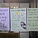 호수로 간 고양이 네이버블로그