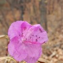 제눈에 안경 이미지