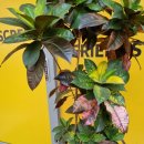 GB프렌즈 골프 이미지