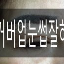 가꿈:나를가꾸다 이미지