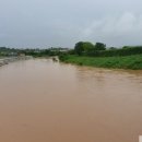 중선포천 이미지