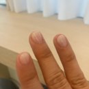 네일했냥 이미지