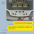 제이앤제이애견 이미지