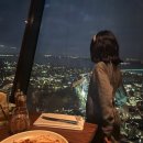 시티투어 | 오클랜드 시티 투어 후기 &amp; 추천 코스 (가성비 중심)