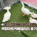 아트홀갤러리카페 | 울산 북구 맛집 곽암갤러리카페 내돈내산 대형 베이커리 오션뷰 주차 아기랑 꿀팁