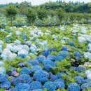 가야목장 이미지