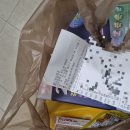 나라메디 | 용산 메디킹덤 후기(비판텐, 벤포벨, 투엑스비, 비맥스)