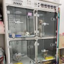 담양군 반려유기동물 공공진료소 | 담양군 반려유기동물 공공진료소