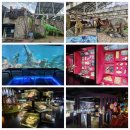 우석헌자연사박물관 | [남양주박물관]아이와갈만한곳 우석헌자연사박물관 후기