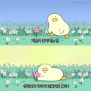 행복후레쉬푸드(부평점) | [공지] 부평 웨딩홀 투어 전 필독!✨ 어두운 웨딩홀의 정석, 부천 라비에벨 5월 최신 후기모음🩷