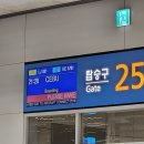 031 | 인천 세부 진에어 LJ031 후기, 좌석 간격 솔직 리뷰