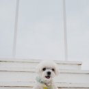 자스민 동물병원 이미지