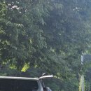 두야2리 경로당 이미지