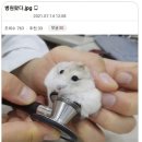 비싼 病院費 이미지