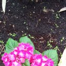 준이농장 이미지