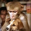 안방마님 이미지