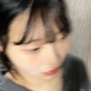 효진여행사주