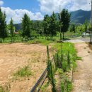 부곡리부동산공인중개사사무소 이미지