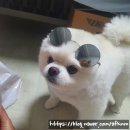 깡지맘쌀롱 이미지