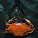 유정수산 이미지