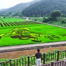 괴산꿀벌영농조합법인 이미지