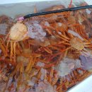 중구백합주간보호센터 이미지