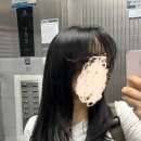 방이동 미용실 레이어드펌 후기 | 루이헤어코프