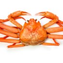 주식회사 대게킹 이미지