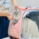 신라가방 쇼핑하우