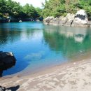 춘심이네 이미지