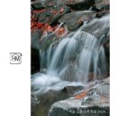 나들이 간 도서관 이미지