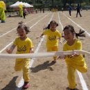 의당초등학교 이미지