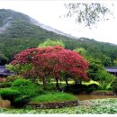 진도 운림산방 이미지