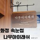 나무 아이래쉬 네이버블로그