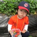 창의어린이집 이미지