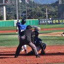 스포츠파크 결초보은체육관 이미지