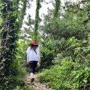 씨유(CU) 일산하늘마을5단지점 | 제주 올레길 18-1코스 후기 (추자도)(5) / 제주 올레 완주 후기